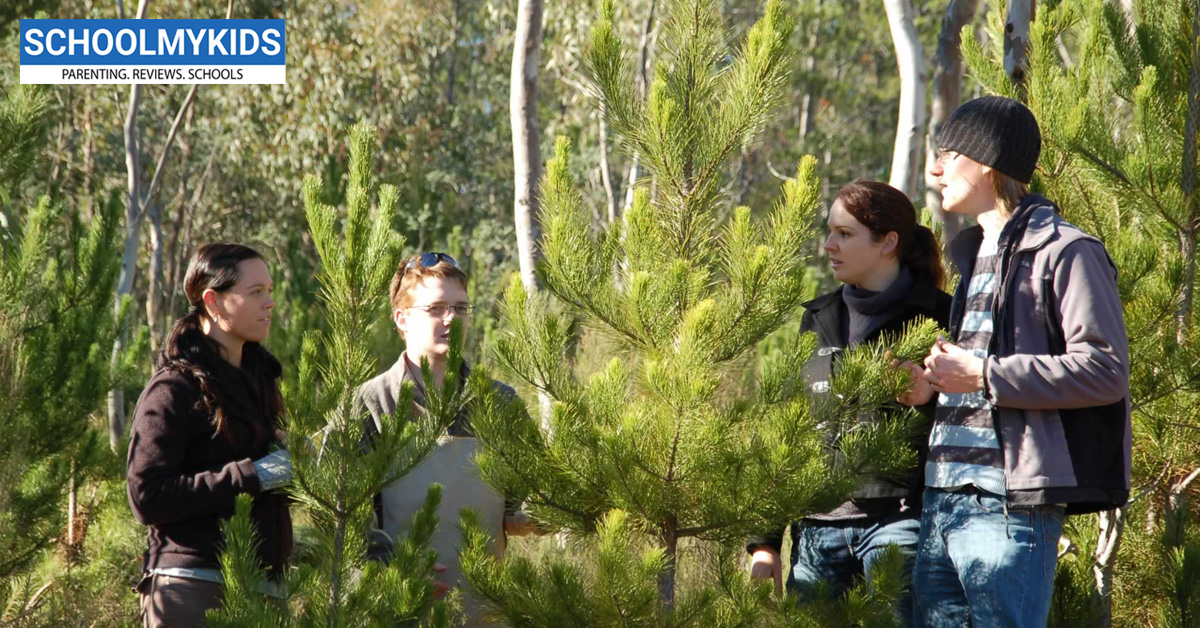 Forestry: Career Guide, Jobs, Courses, Salary and Education