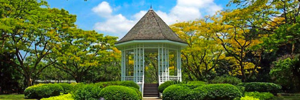 Schools in singapore