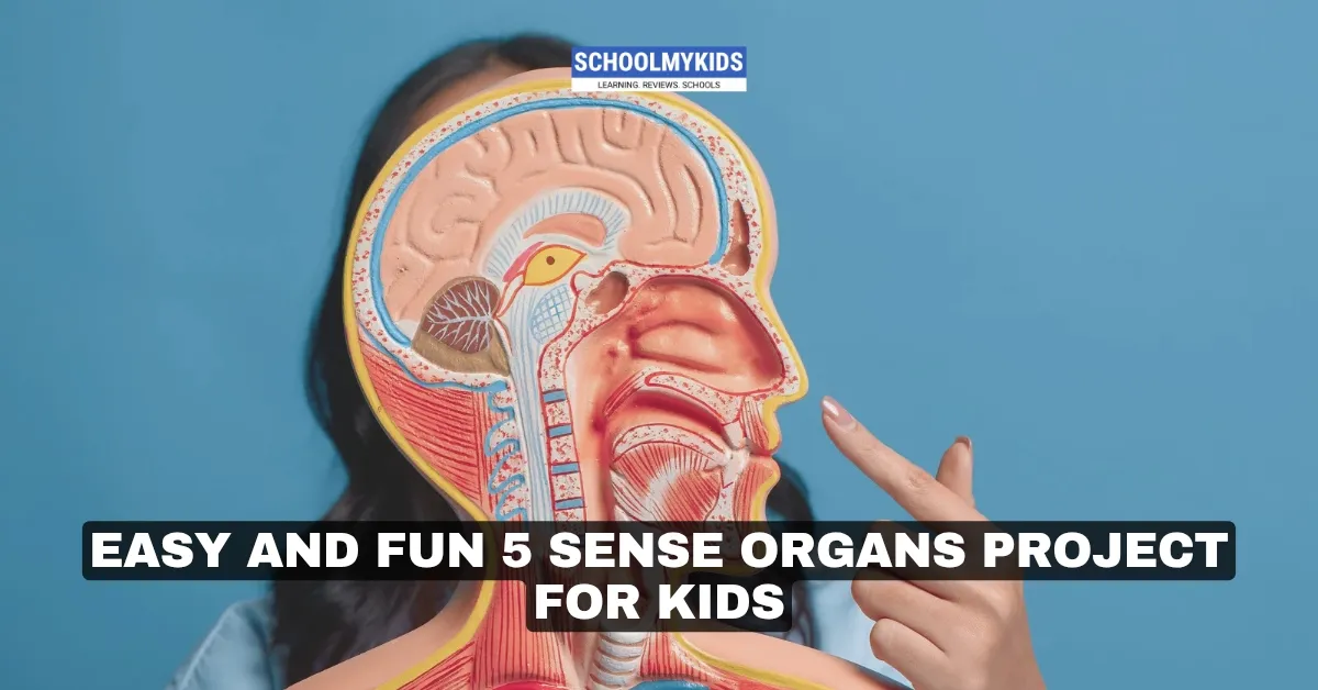 Easy and Fun 5 Sense Organs Project For Kids