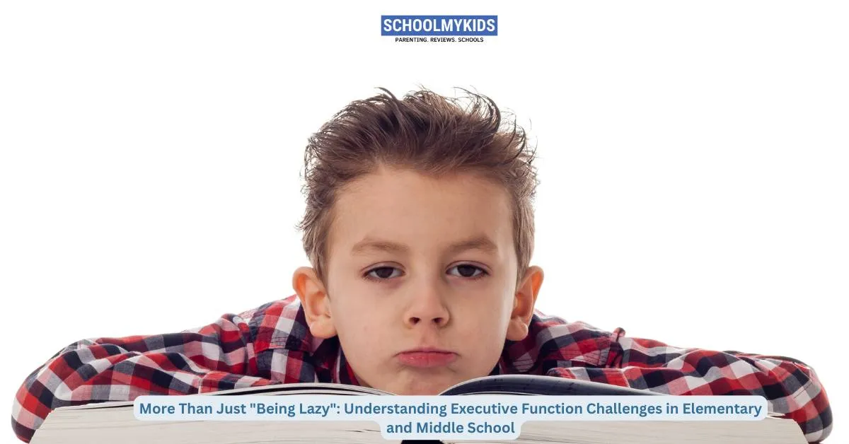 More Than Just 'Being Lazy': Understanding Executive Function Challenges in Elementary and Middle School