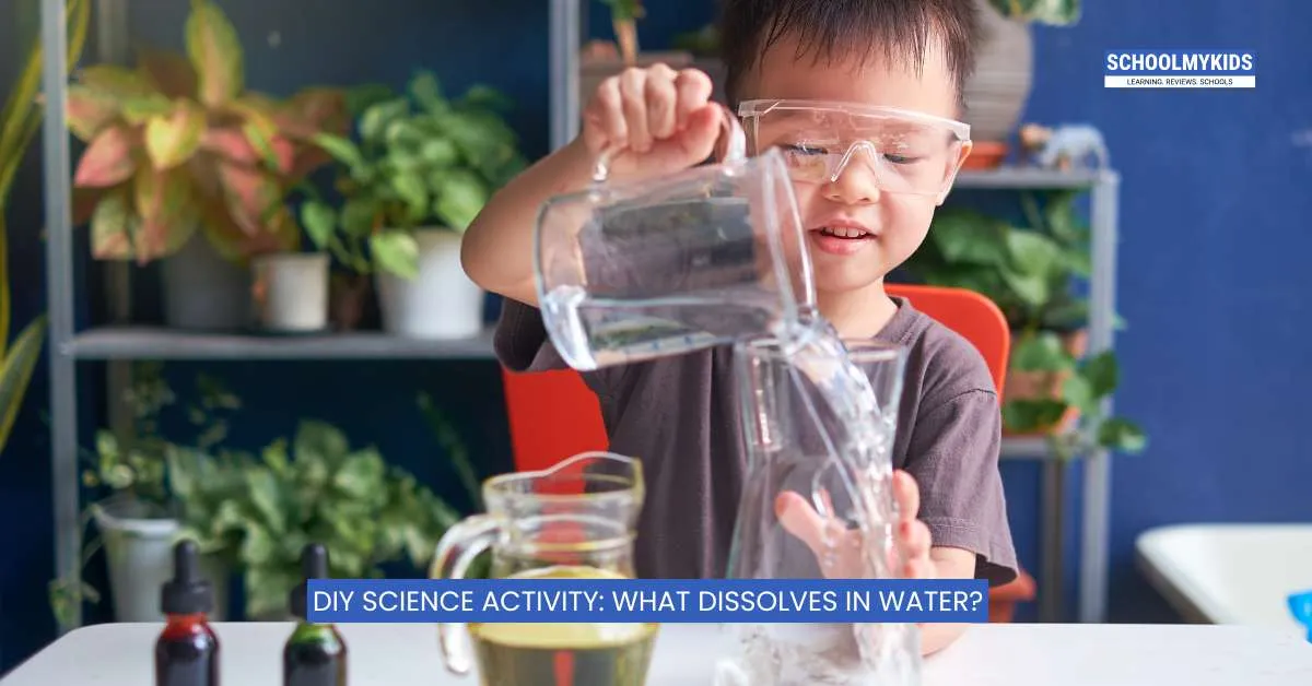 DIY Science Activity: What Dissolves in Water?