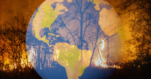 Natural Disasters: Building Models to Understand Earth's Phenomena