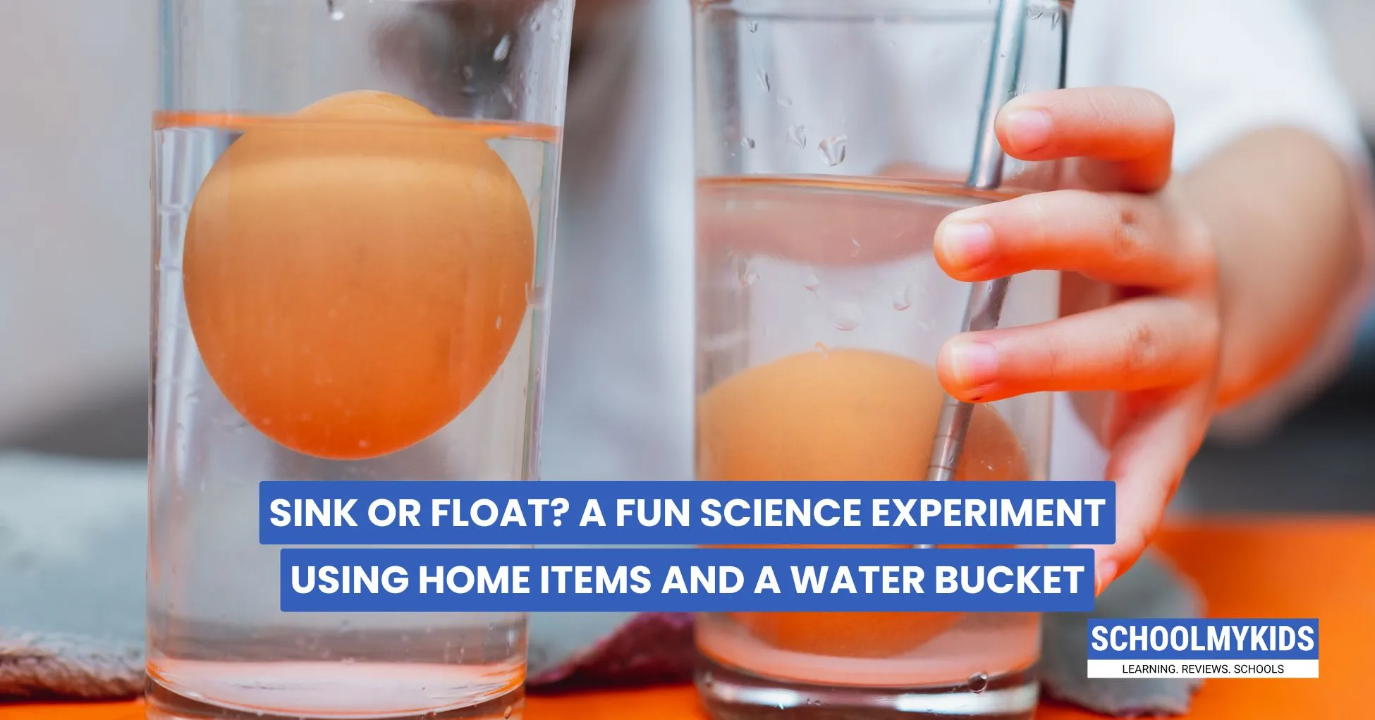 Sink or Float? A Fun Science Experiment Using Home Items and a Water Bucket