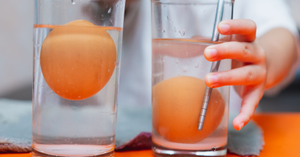 Sink or Float? A Fun Science Experiment Using Home Items and a Water Bucket