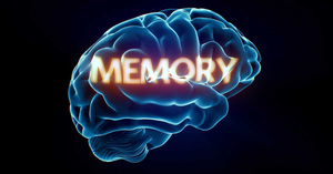 The Science of Learning: Memory Hacks Every Student Should Try