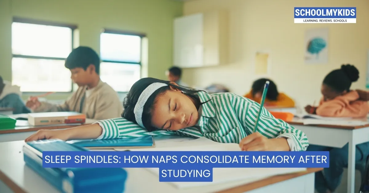 Sleep Spindles: How Naps Consolidate Memory After Studying