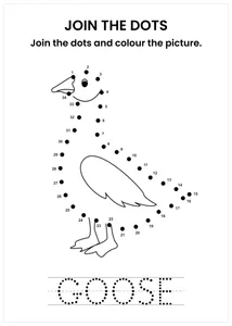 Goose connect the dots and color the image