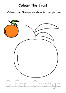 Colour the Fruits - Orange Coloring