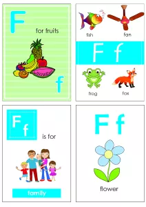 Alphabet Flash Cards - Flashcard Letter F