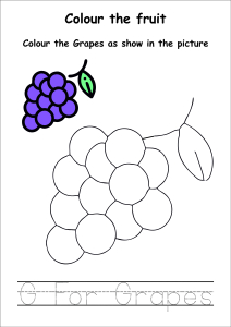 Colour the Fruits - Grapes Coloring