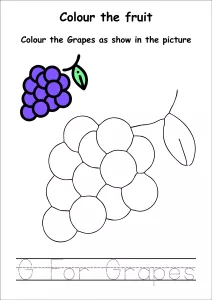 Colour the Fruits - Grapes Coloring