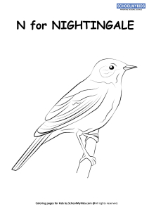 N for Nightingale Coloring Page