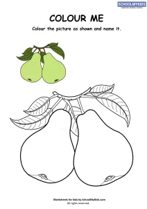 Fruit Pear Coloring Page