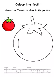 Colour the Fruits - Tomato Coloring