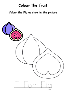 Colour the Fruits - Fig Coloring