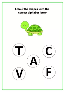 T for Turtle - Practice Beginning Letter