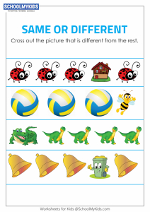 Identify the Different Objects - Same and Different