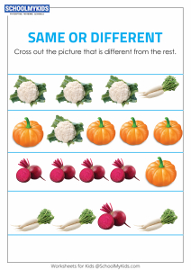 Identify the Different Objects - Same and Different