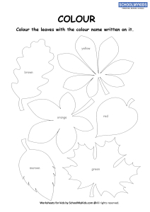 Know the Colors - Color the leaves