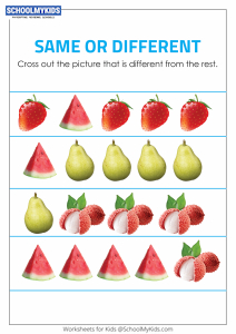 Identify the Different Objects - Same and Different