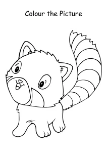 Colour the Picture - Raccoon - Coloring Pages