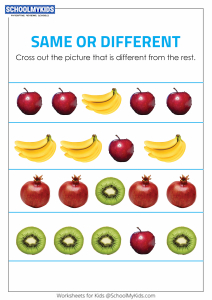 Identify the Different Objects - Same and Different