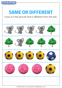 Identify the Different Objects - Same and Different