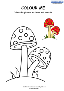 Colour Me - Mushroom Coloring Pages