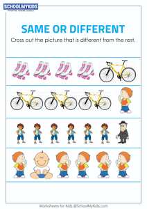 Identify the Different Objects - Same and Different