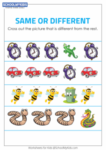 Identify the Different Objects - Same and Different