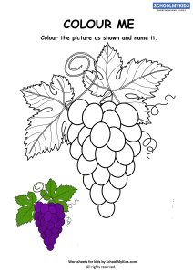 Colour Me - Grapes Coloring Pages