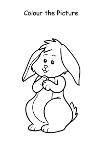 Colour the Picture - Bunny - Coloring Pages