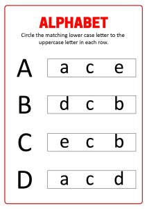 Match Uppercase and Lowercase Letters A B C D- Alphabet Matching