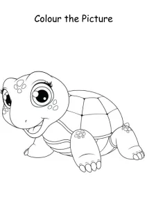 Colour the Picture - Tortoise - Coloring Pages
