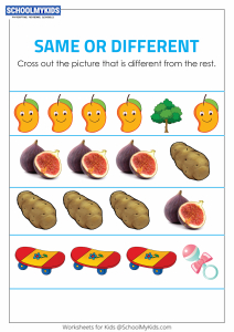 Identify the Different Objects - Same and Different
