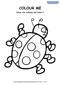 Colour Me - Ladybug Insect Coloring Pages