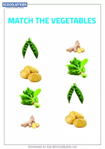 Match the Vegetables 3 - Vegetable Picture Matching