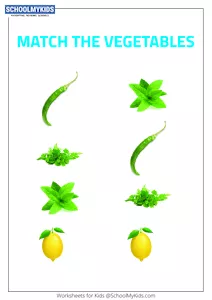 Match the Vegetables 1 - Vegetable Picture Matching
