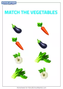 Match the Vegetables 4 - Vegetable Picture Matching