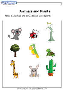 Plants and Animals Worksheets for Kindergarten,First Grade - General  Awareness Worksheets 