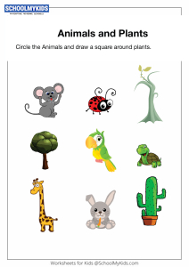 Plants and Animals