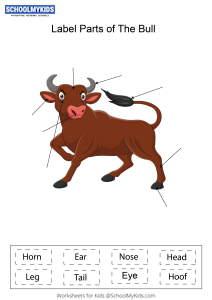 Label parts of the Bull