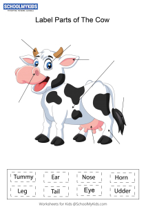 Label parts of the Cow Worksheets for Kindergarten,First,Second Grade