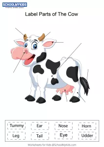Label parts of the Cow