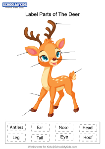 Label parts of the Deer Worksheets for Kindergarten,First,Second Grade