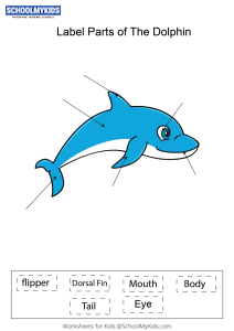 Label parts of the Dolphin