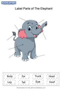 Label parts of the Elephant Worksheets for Kindergarten,First,Second