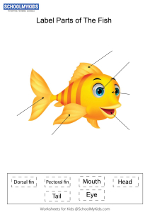 Label parts of the Fish