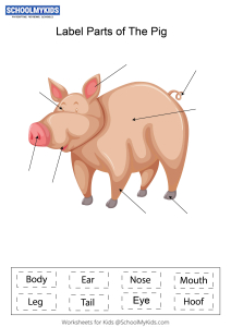 Label parts of the Pig