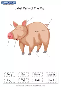 Label parts of the Pig
